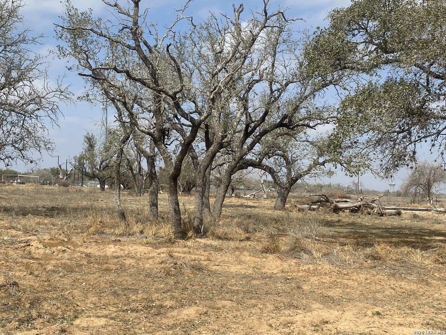 35.02 acres in Atascosa County - photo 5