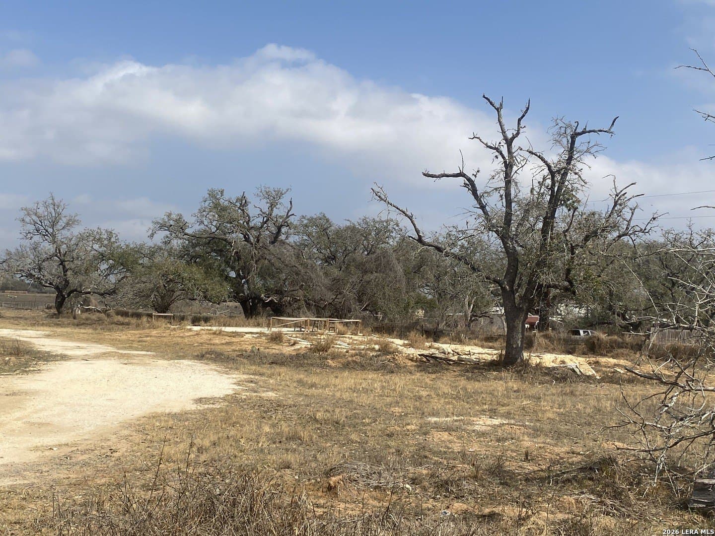 35.02 acres in Atascosa County - photo 4