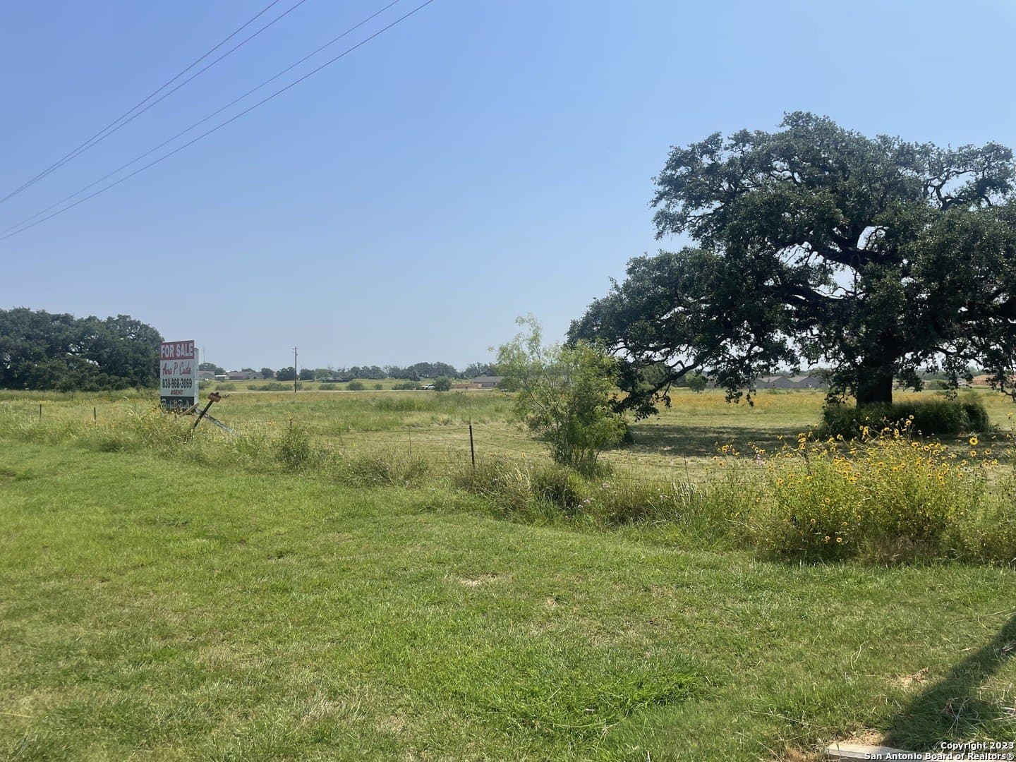 29.51 acres in Atascosa County - photo 2
