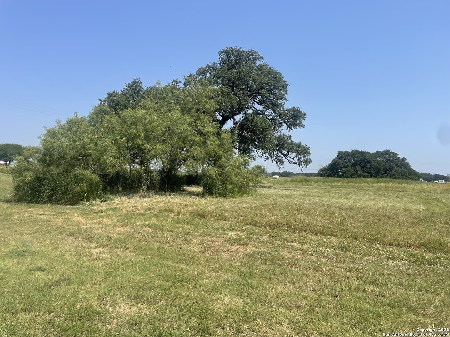 29.51 acres in Atascosa County - photo 4