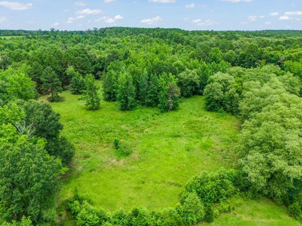 31.6 acres in Upshur County - photo 21