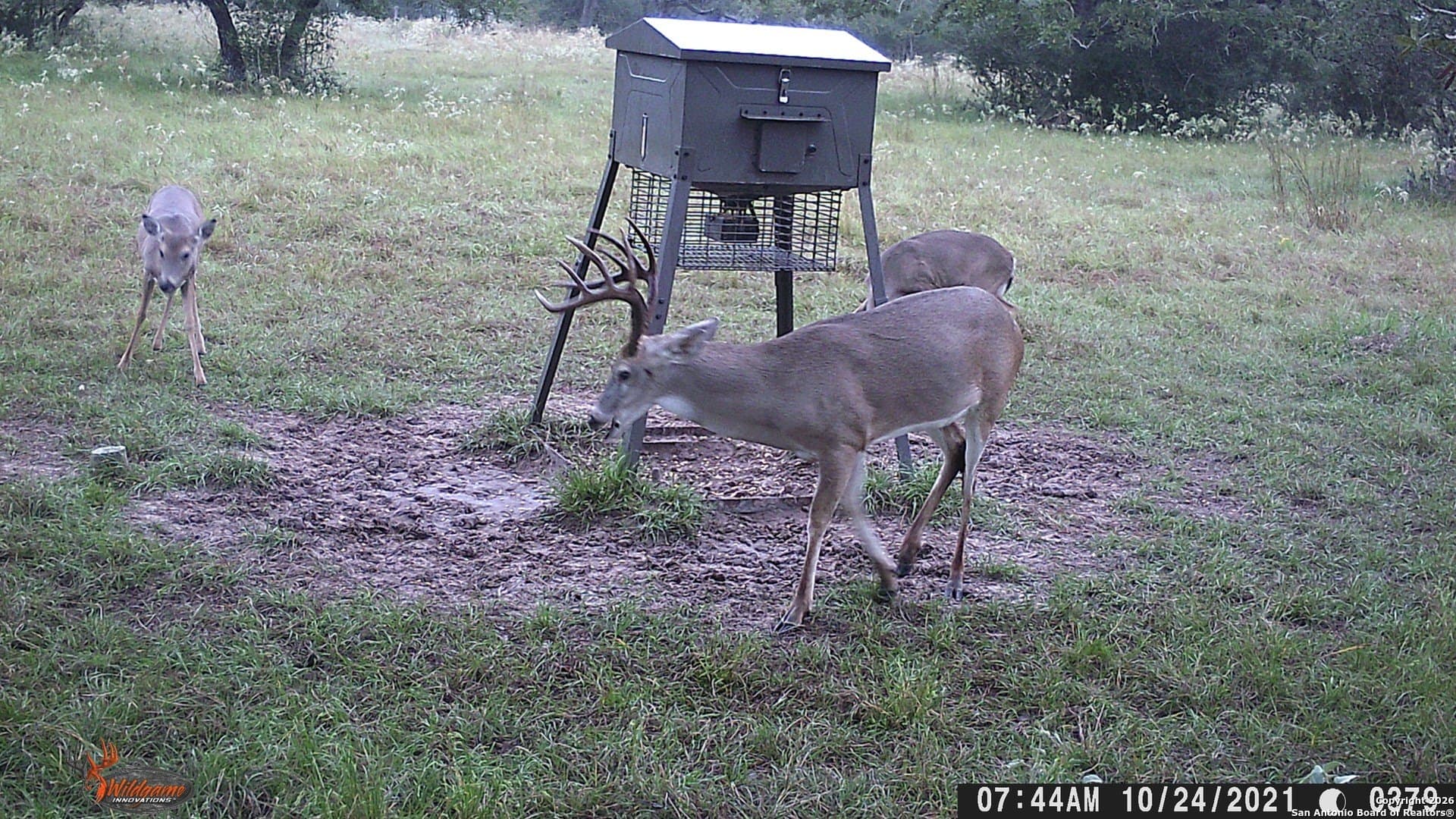 27.84 acres in De Witt County - photo 7