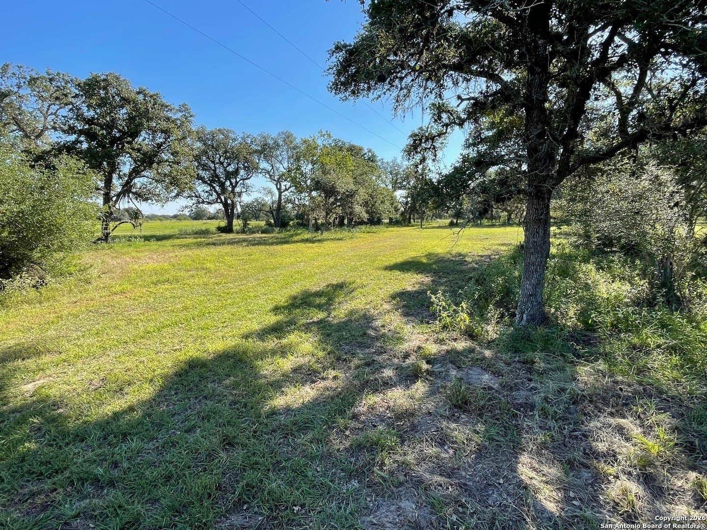 27.84 acres in De Witt County - photo 10