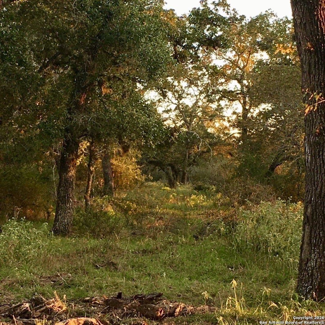 27.84 acres in De Witt County - photo 6