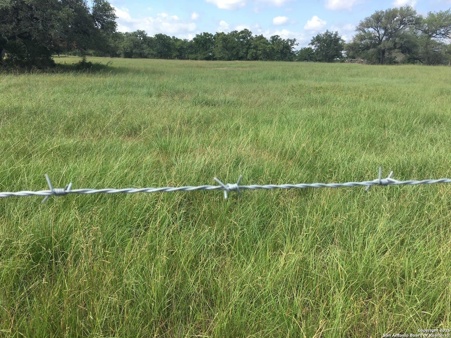 27.84 acres in De Witt County - photo 2