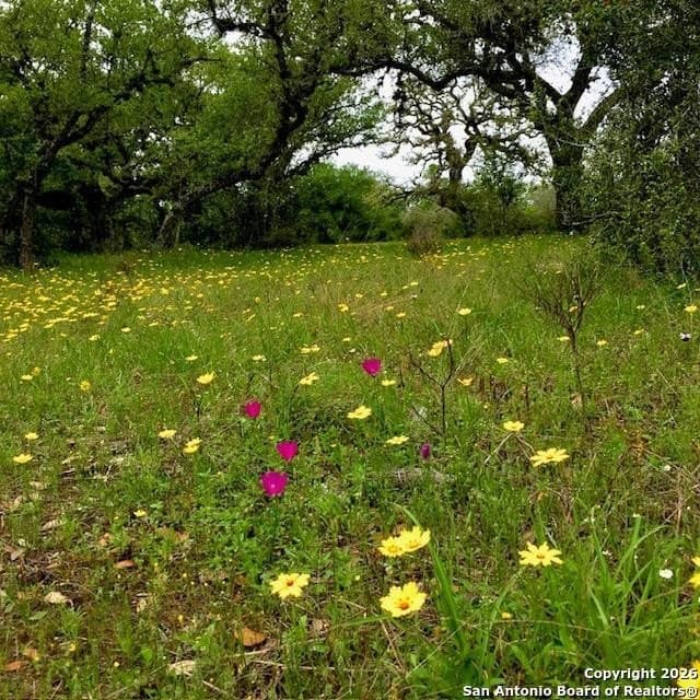 27.84 acres in De Witt County - photo 11