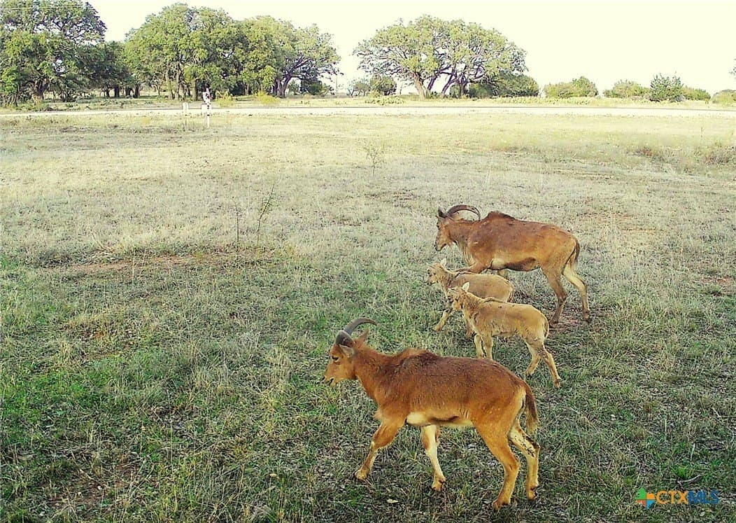 5.09 acres in Burnet County - photo 13