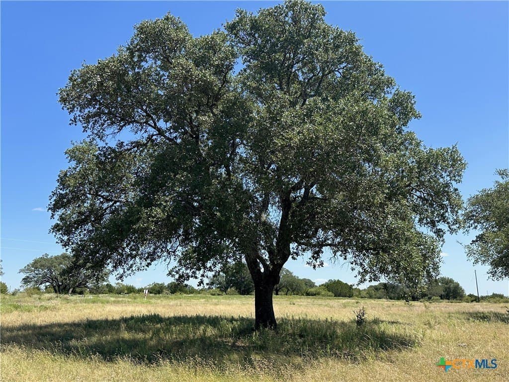 5.09 acres in Burnet County - photo 5