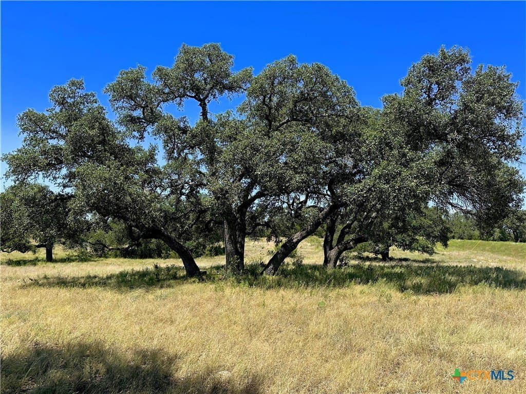 5.09 acres in Burnet County - photo 4