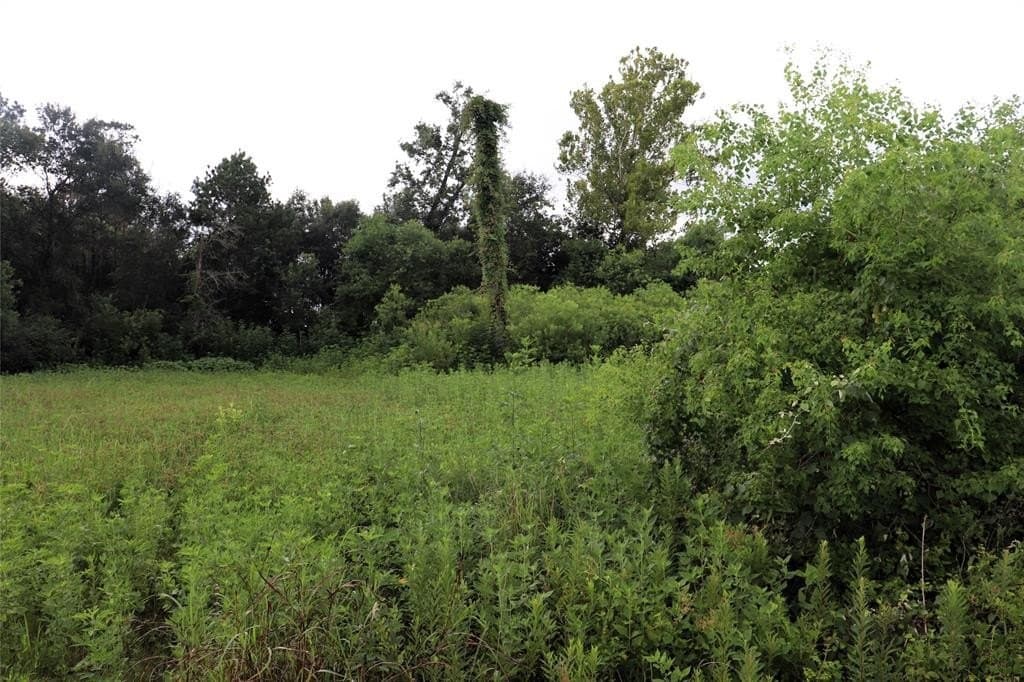 2.89 acres in Liberty County - photo 3