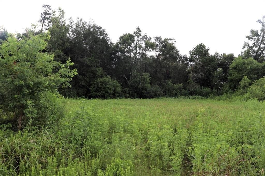 2.89 acres in Liberty County - photo 2