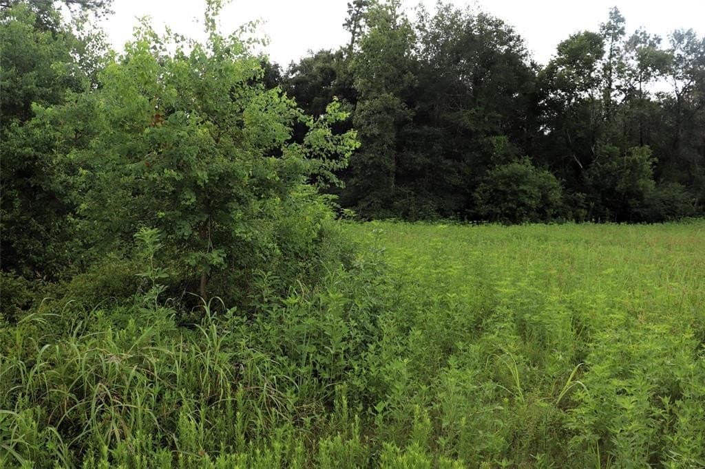 2.89 acres in Liberty County - photo 4