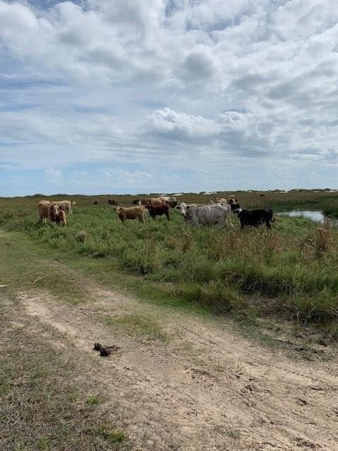 38.69 acres in Texas County - photo 5