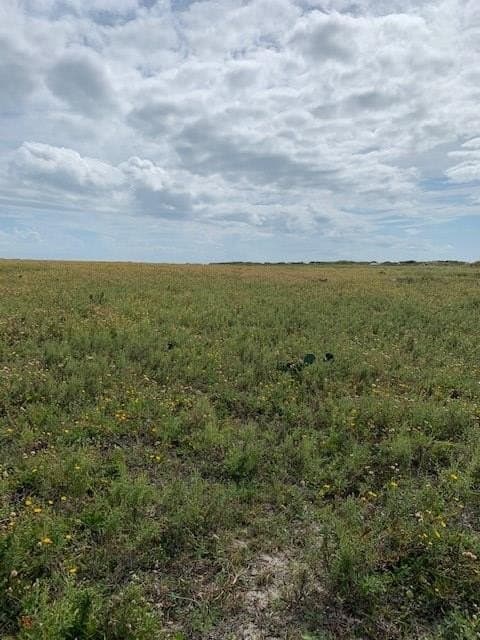 38.69 acres in Texas County - photo 6