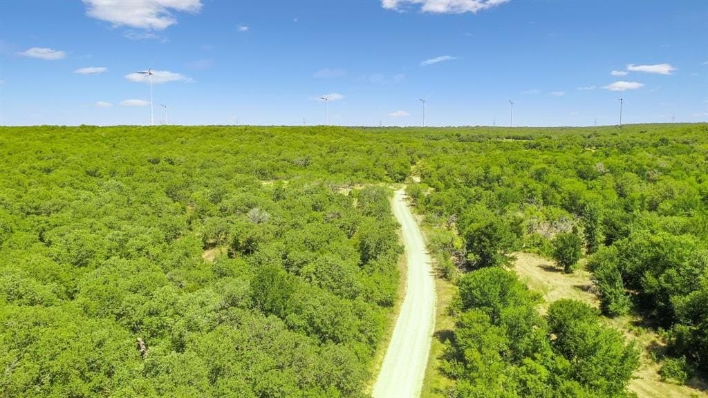 172 acres in Jack County - photo 22