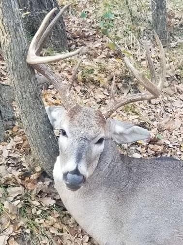 172 acres in Jack County - photo 36