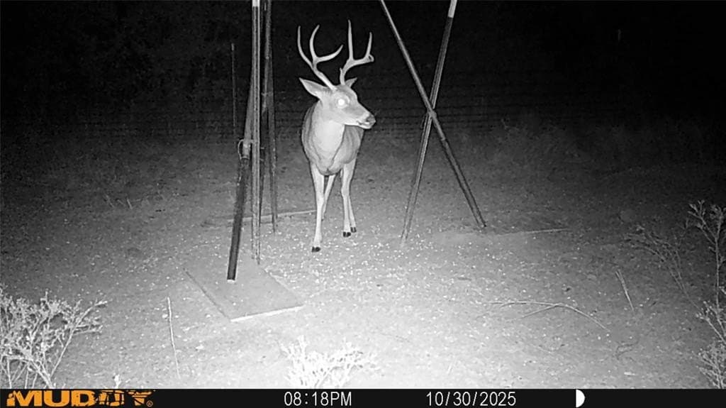 172 acres in Jack County - photo 38