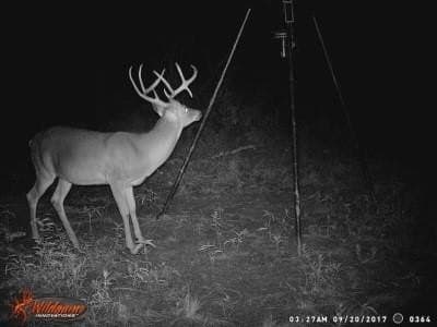 172 acres in Jack County - photo 37