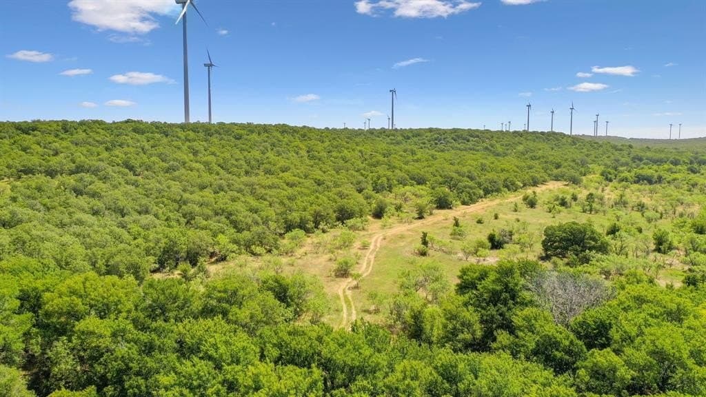 172 acres in Jack County - photo 23