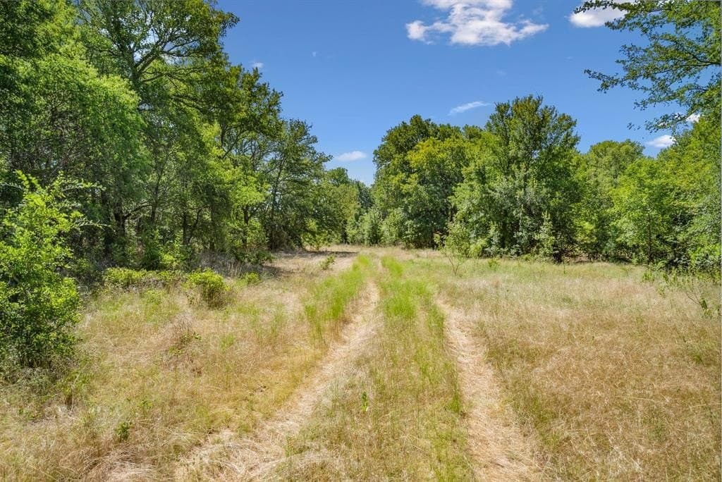 172 acres in Jack County - photo 5