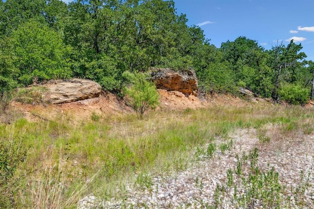 172 acres in Jack County - photo 6