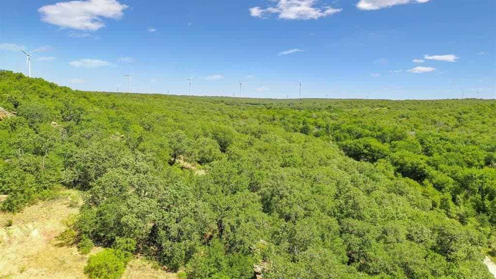 172 acres in Jack County - photo 24