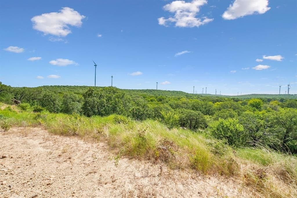 172 acres in Jack County - photo 11