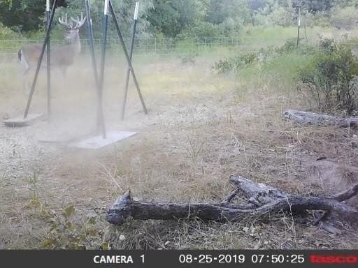 172 acres in Jack County - photo 35