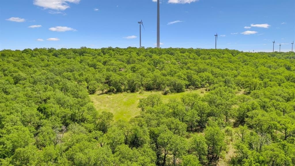 172 acres in Jack County - photo 19