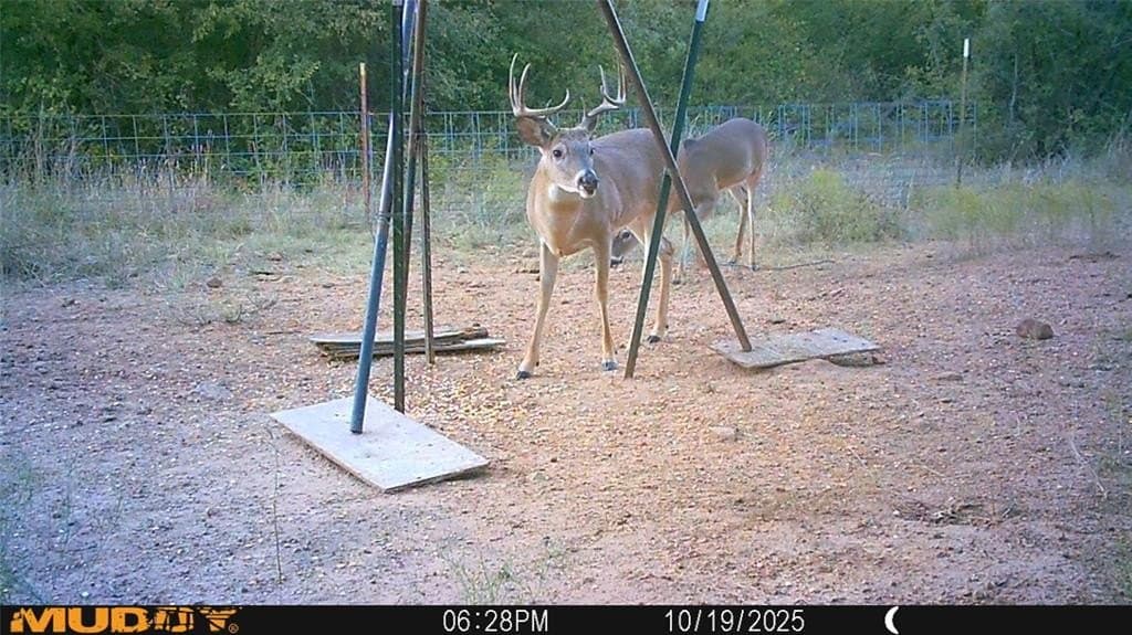 172 acres in Jack County - photo 39