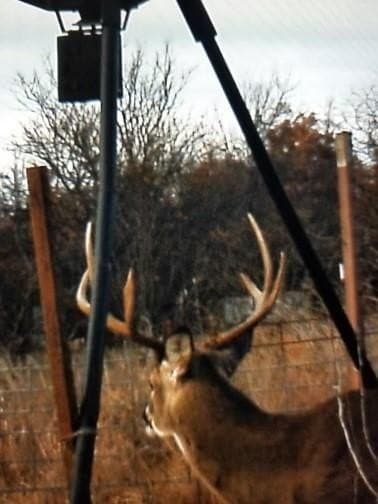 172 acres in Jack County - photo 32