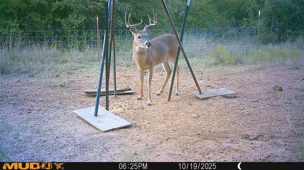 172 acres in Jack County - photo 40