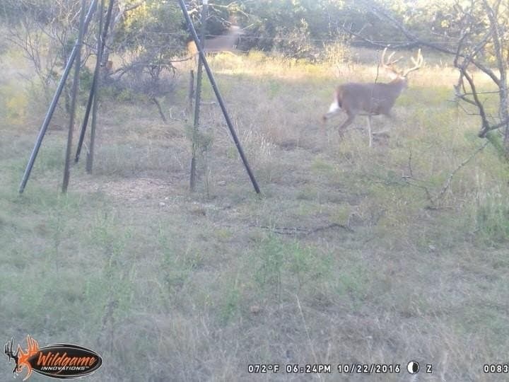172 acres in Jack County - photo 33