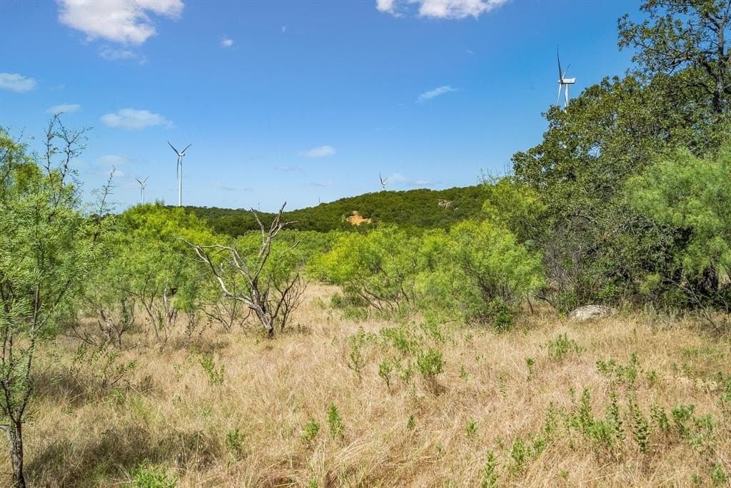 172 acres in Jack County - photo 10