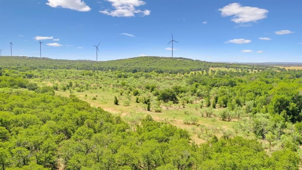 172 acres in Jack County - photo 18
