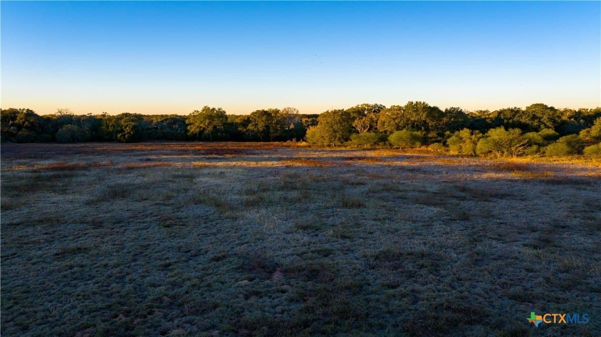 20.5 acres in DeWitt County - photo 4
