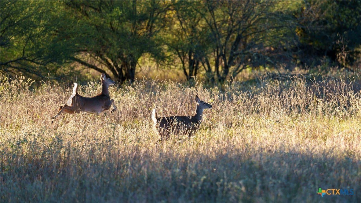 20.5 acres in DeWitt County - photo 20