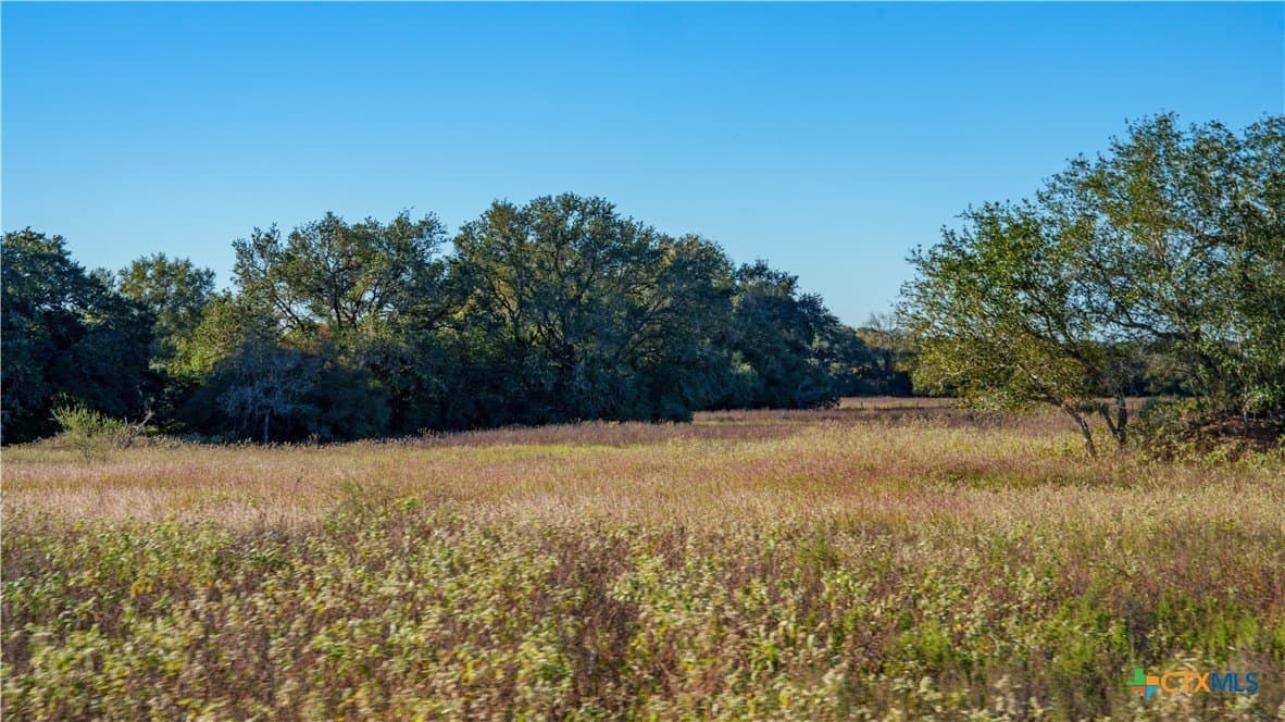 20.5 acres in DeWitt County - photo 23