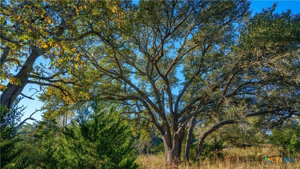 20.5 acres in DeWitt County - photo 22