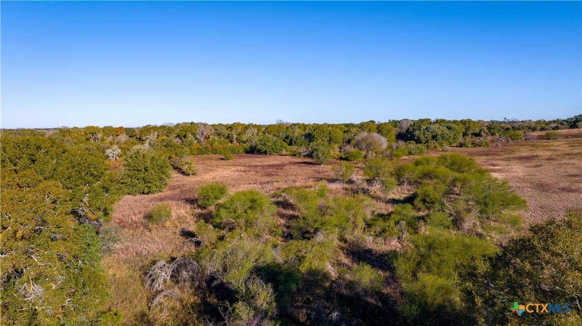 20.5 acres in DeWitt County - photo 14