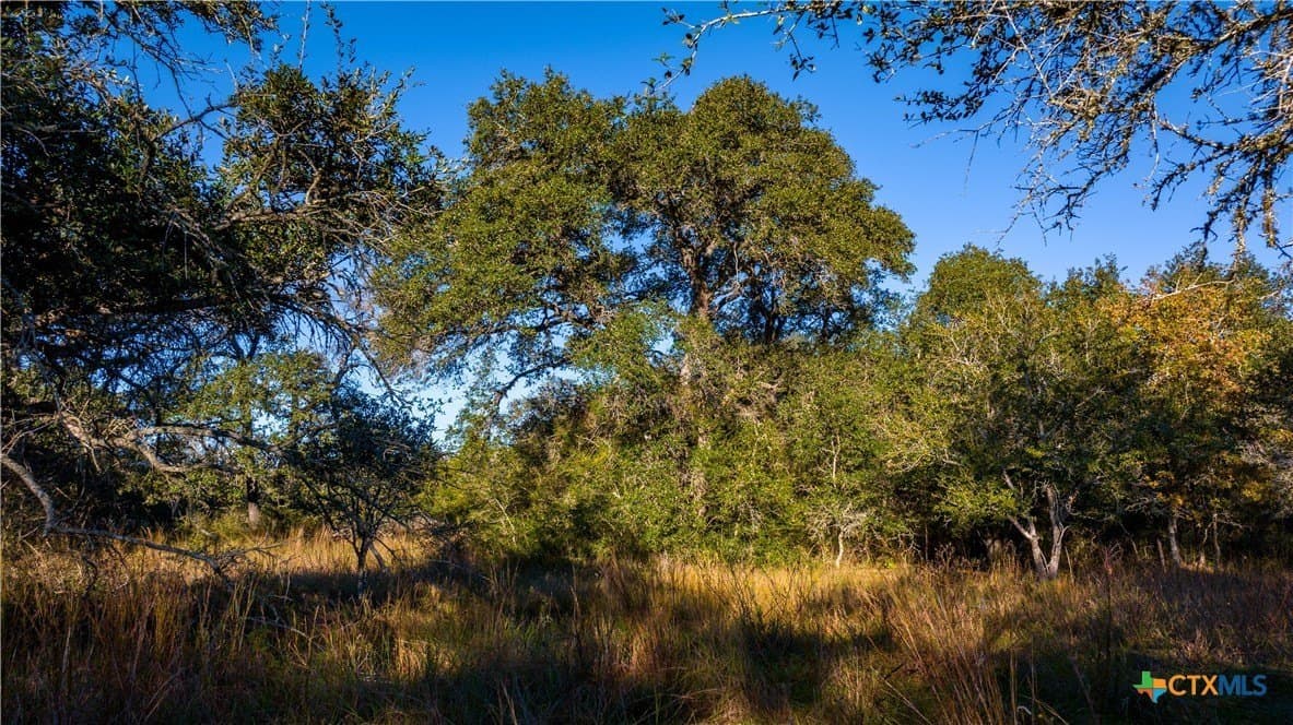20.5 acres in DeWitt County - photo 9
