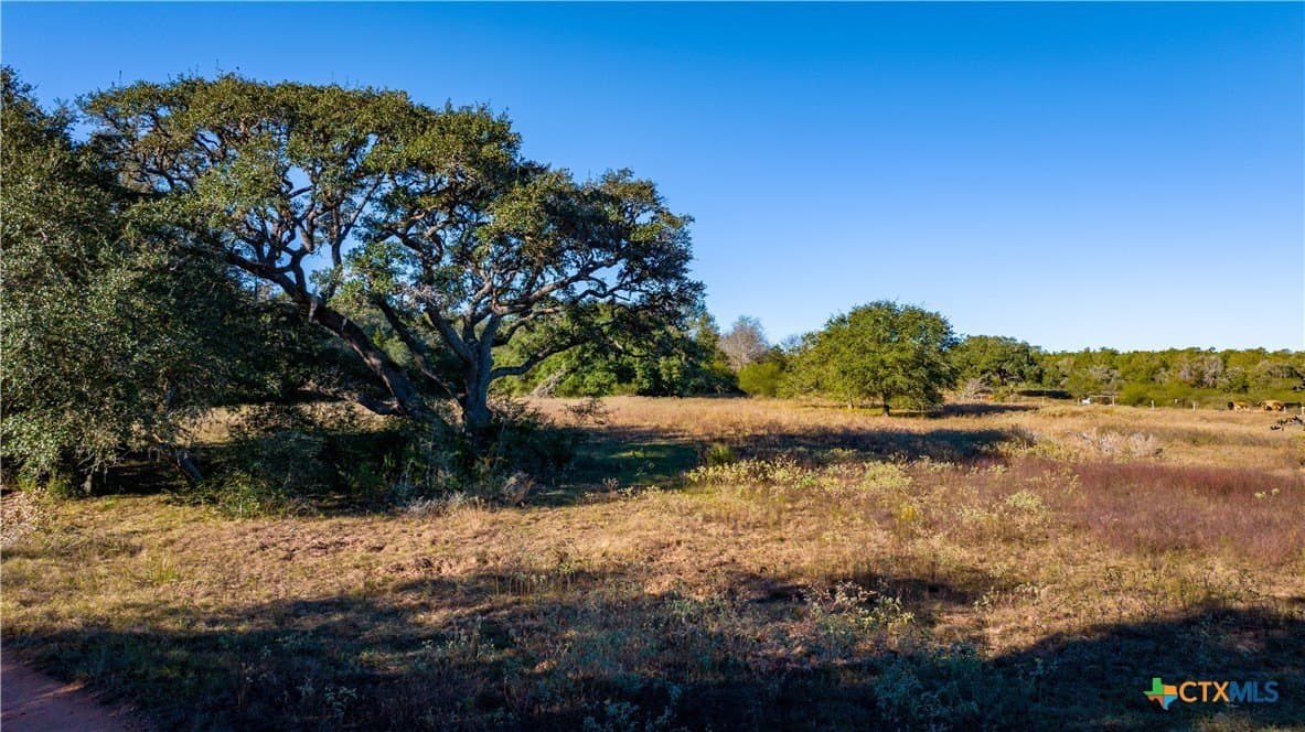 20.5 acres in DeWitt County - photo 21
