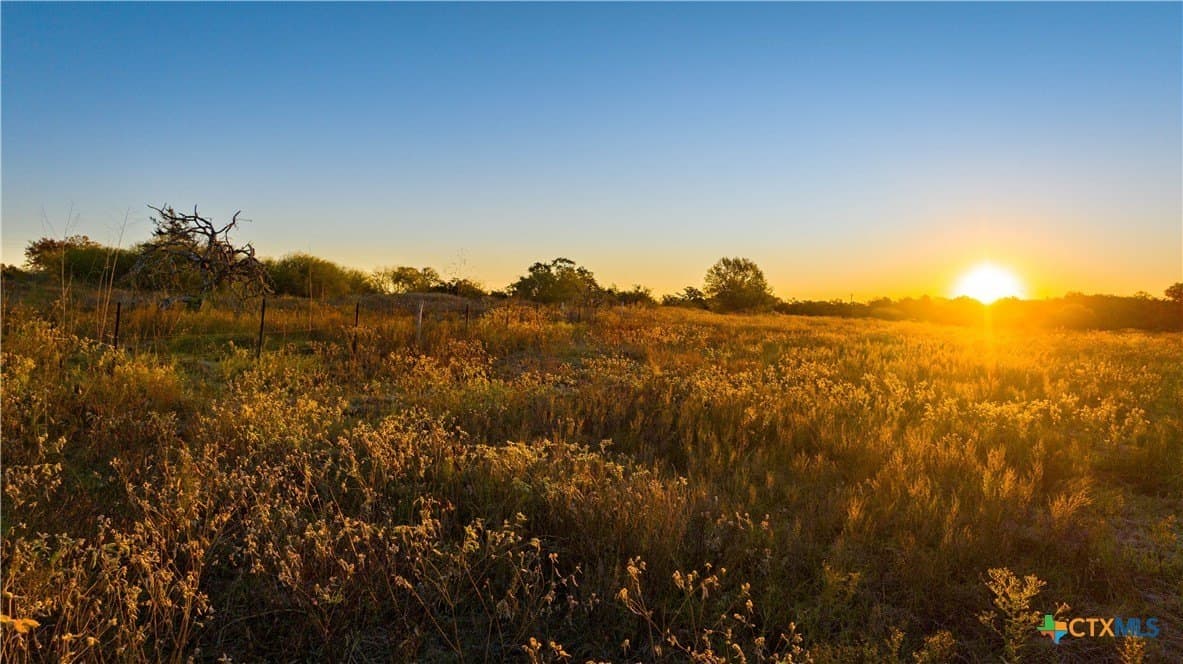 20.5 acres in DeWitt County - photo 2
