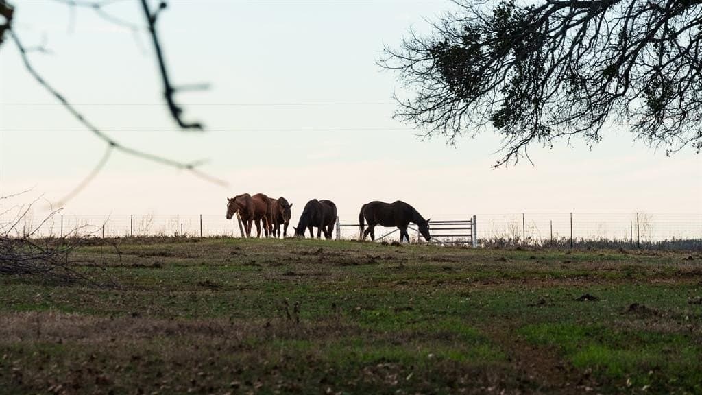 11.39 acres in Grayson County - photo 7