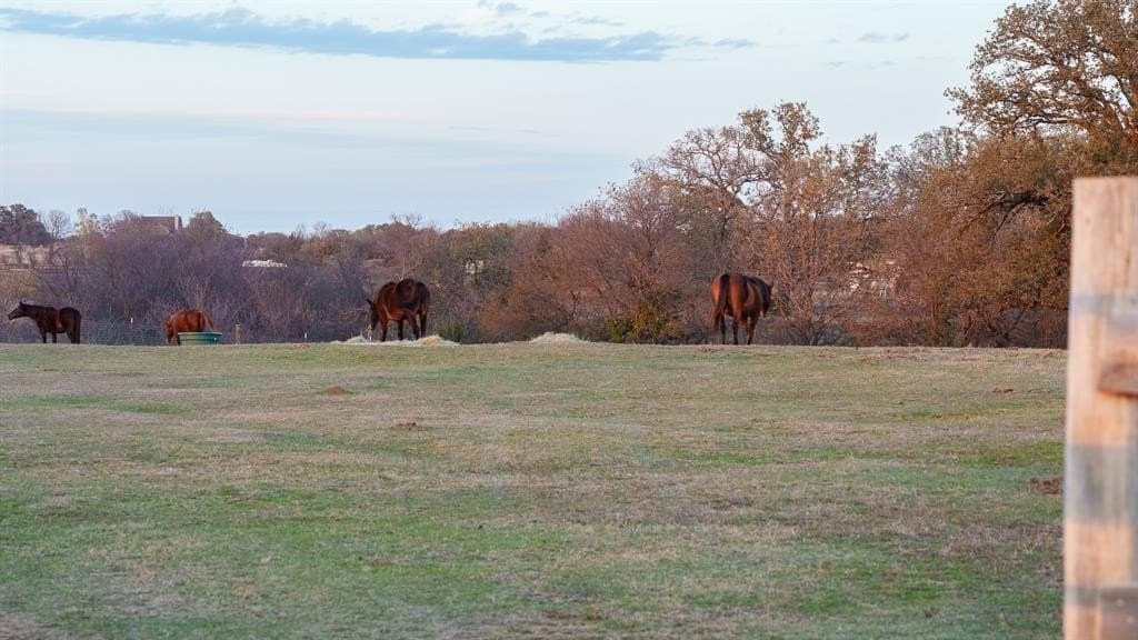 11.39 acres in Grayson County - photo 13