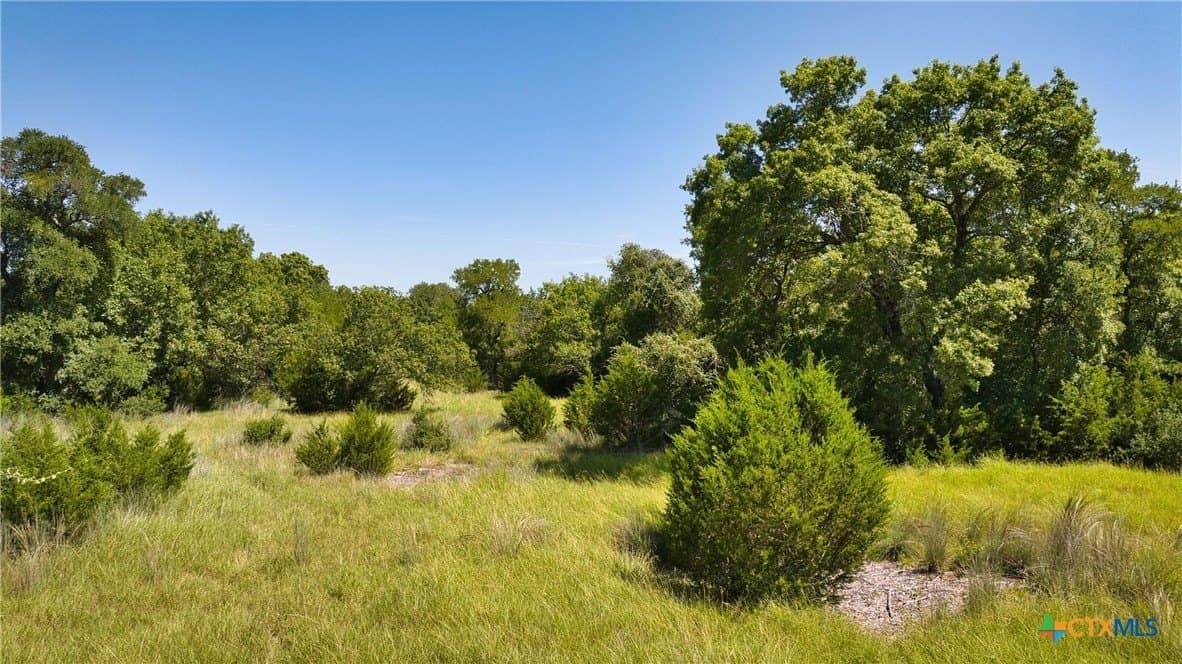544.68 acres in Bell County - photo 15