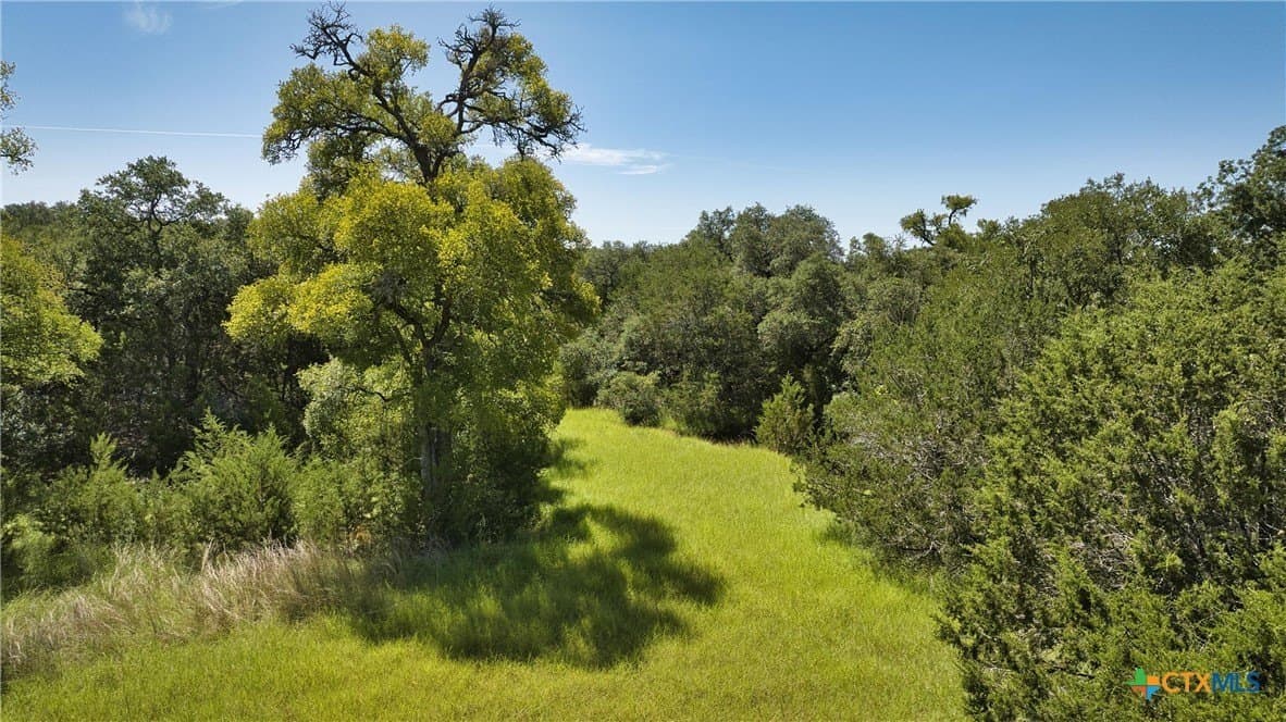 544.68 acres in Bell County - photo 20