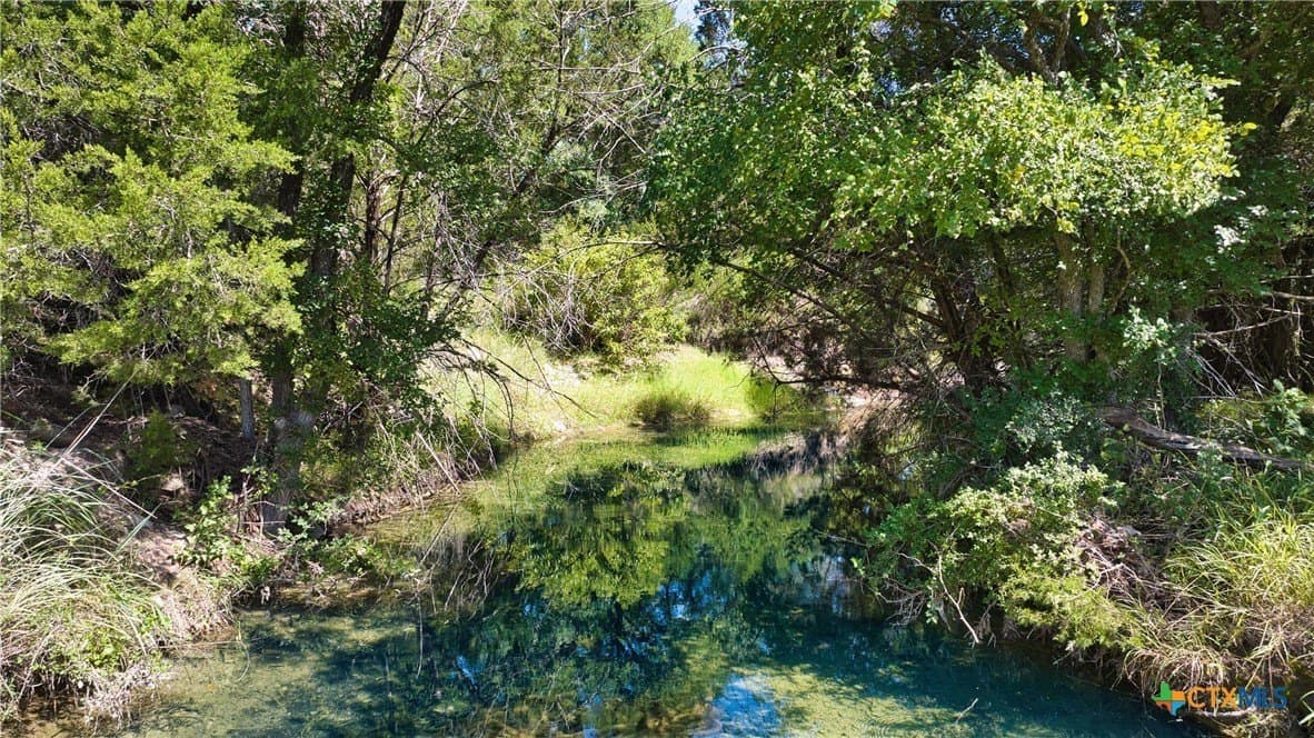 544.68 acres in Bell County - photo 5