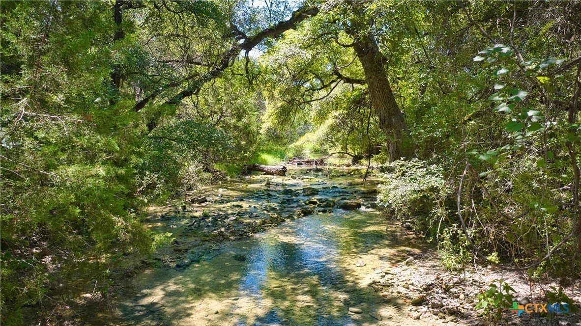 544.68 acres in Bell County - photo 4