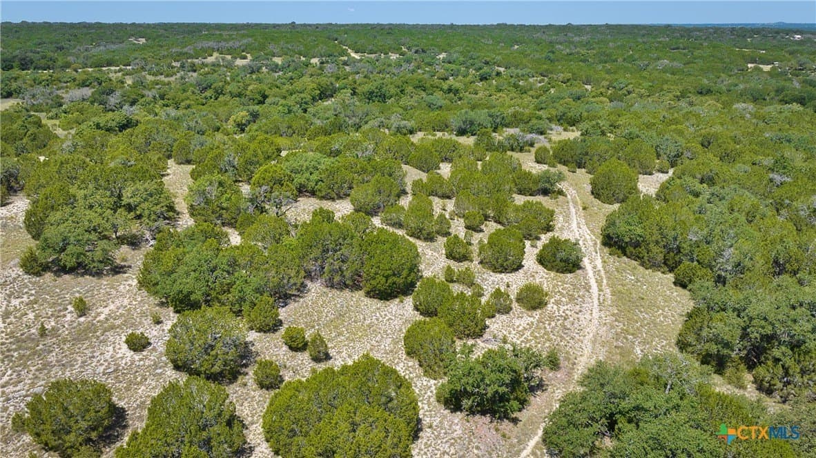 544.68 acres in Bell County - photo 35